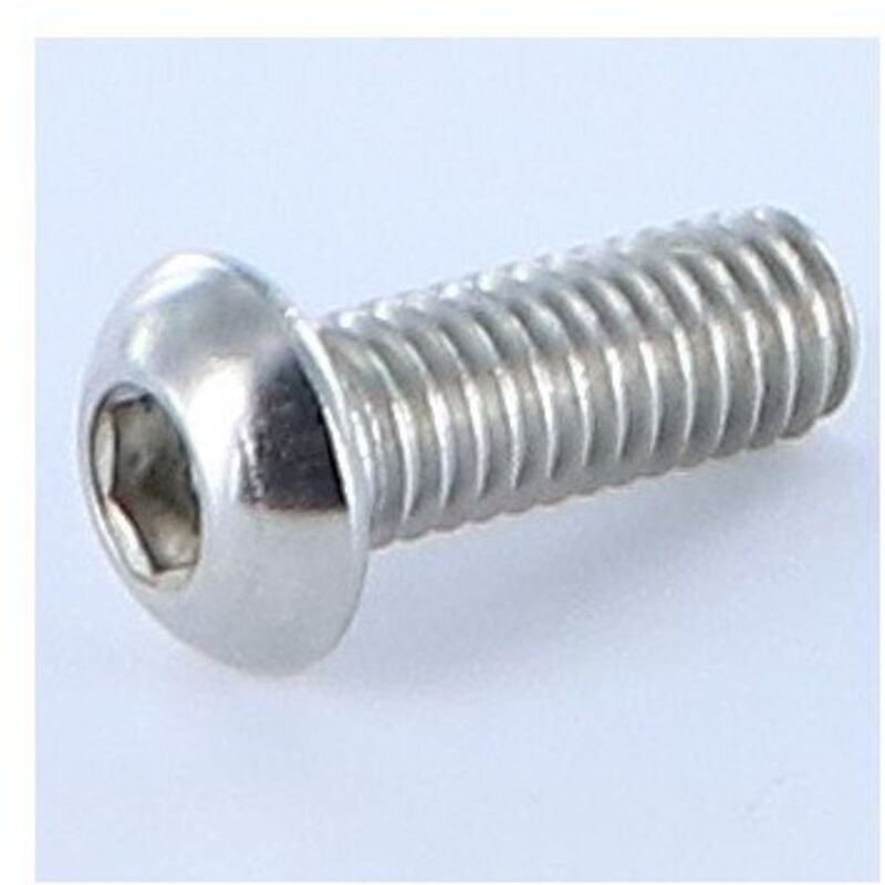 Vis métaux bhc (Tête Bombée Hexagonal creux) M6X20 Filetage total Clé de 4 HC4 Inox A4-200 pièces