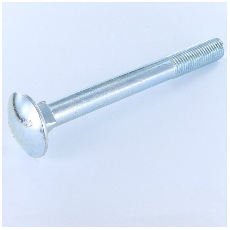 Trcc japy tête ronde collet carré Filetage partiel M16X100 Acier zingué-20 pièces