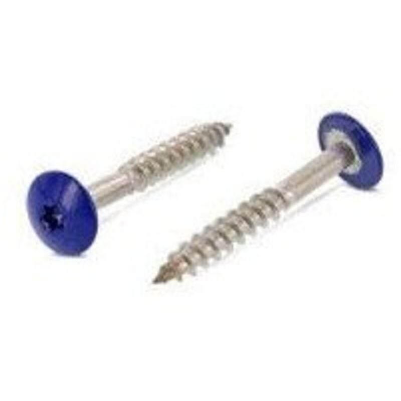 Vis de facade torx T20 4.8X32 Diamètre de tête: 12.3 Inox A2 RAL5002-100 pièces