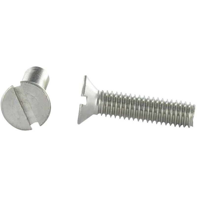 Vis métaux Inox A2 Tête fraisée TF Fendue M8X100-30 pièces