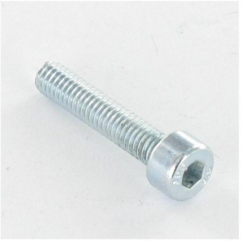 Vis métaux chc btr M7X20 Filetage total Classe 10.9 Pas de 100 Acier zingué-100 pièces