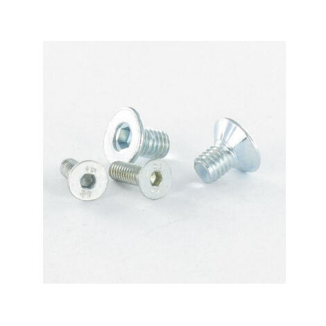 Vis métaux Inox A2 CHC BTR Clé de 10 HC10 Filetage total M12X20-100 pièces