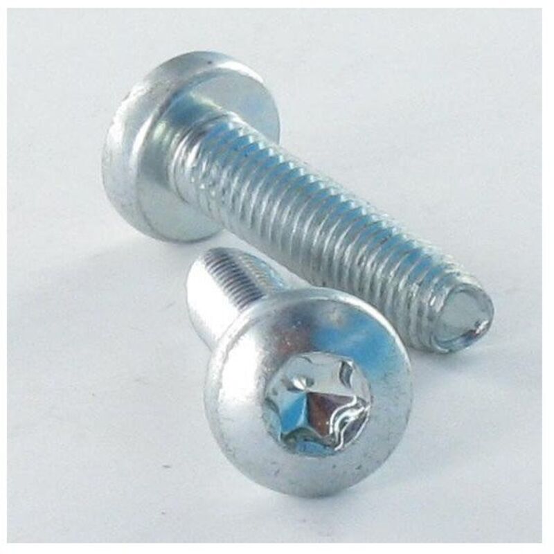 Vis autotaraudeuse Tête cylindrique large tcl 6X60 torx T30 Acier zingué-200 pièces