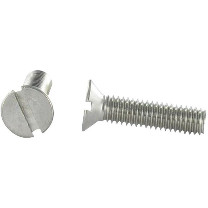 Vis Express - Vis métaux Inox A2 Tête fraisée tf Fendue M12X100-10 pièces