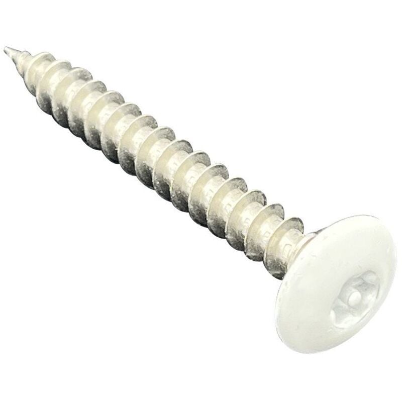 Vis Express - Vis Penture Inox A2 6X50 T30+TETON RAL9016 blanc signalisation 80%-500 pièces