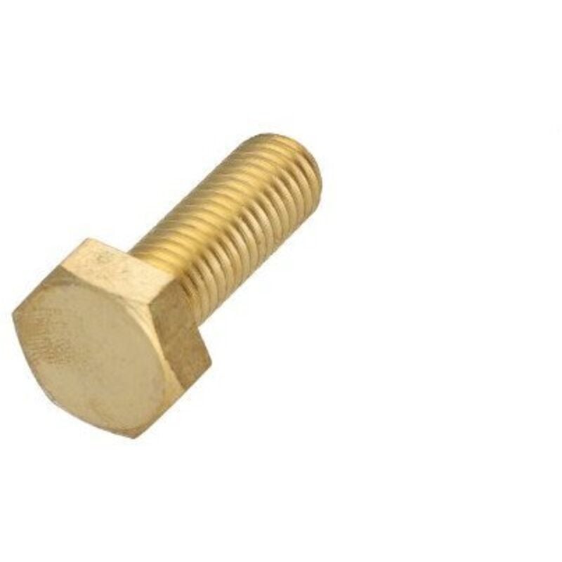 Vis métaux Laiton Tête hexagonale TH M10X50-10 pièces