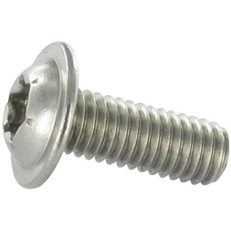 Vis Métaux Tête bombée Embase collerette TORX T30 M6X25 Filetage total Inox A2