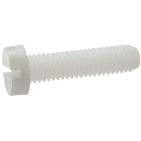 Vis métaux Tête cylindrique large TCL Fendue M6X25 nylon naturel-1 pièce