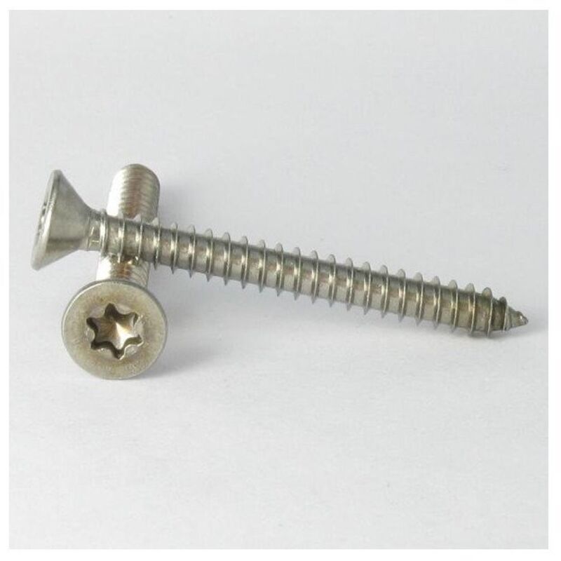 Vis Express - Cheville d'isolation 10X160 et Clou METALIQUE-30 pièces