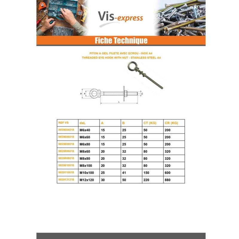 Vis Express - Piton à Oeil Fileté Avec Ecrou Oeil 15 Inox A4-20 pièces