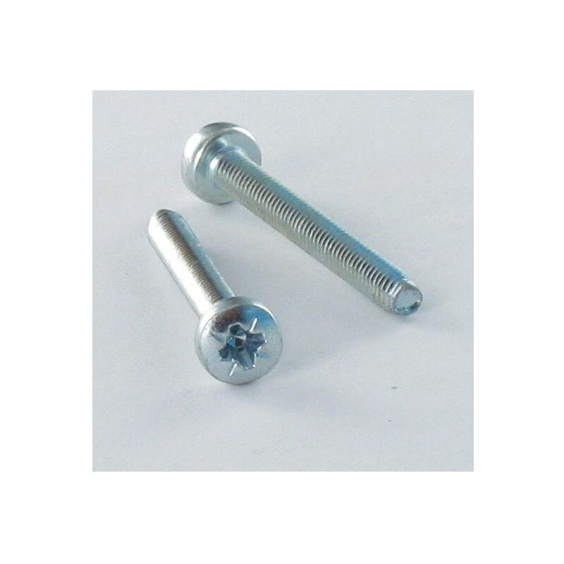 Vis autotaraudeuse Tête cylindrique large TCL Pozi 4X10 Acier zingué-1000 pièces