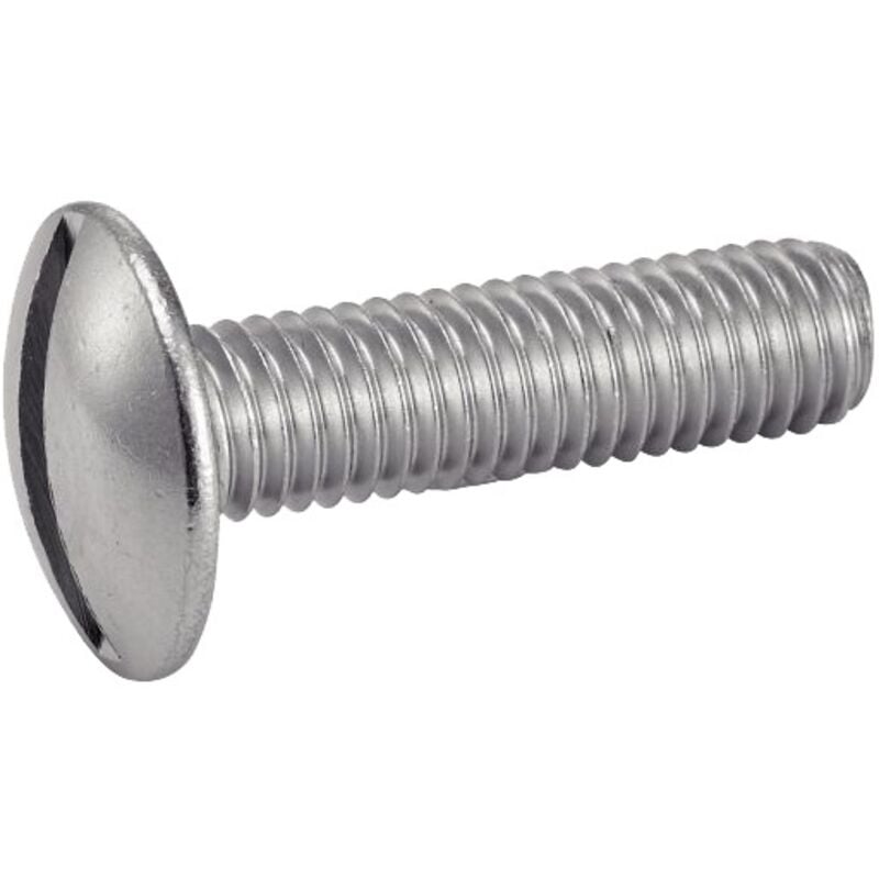 Vis à métaux tête ronde large fendue inox A2 8x20mm boîte de 100 pièces Acton