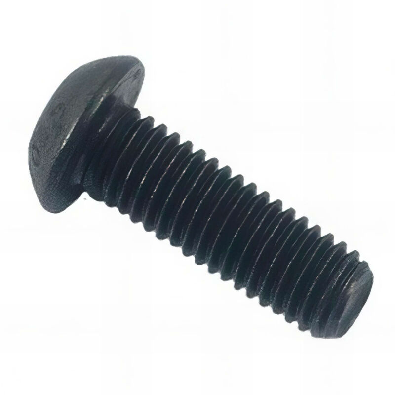 Vis métaux tête bombée 6 pans creux bhc 8 x 25 mm Brut - Boite de 100 pcs Fixtout BHC1090802501B