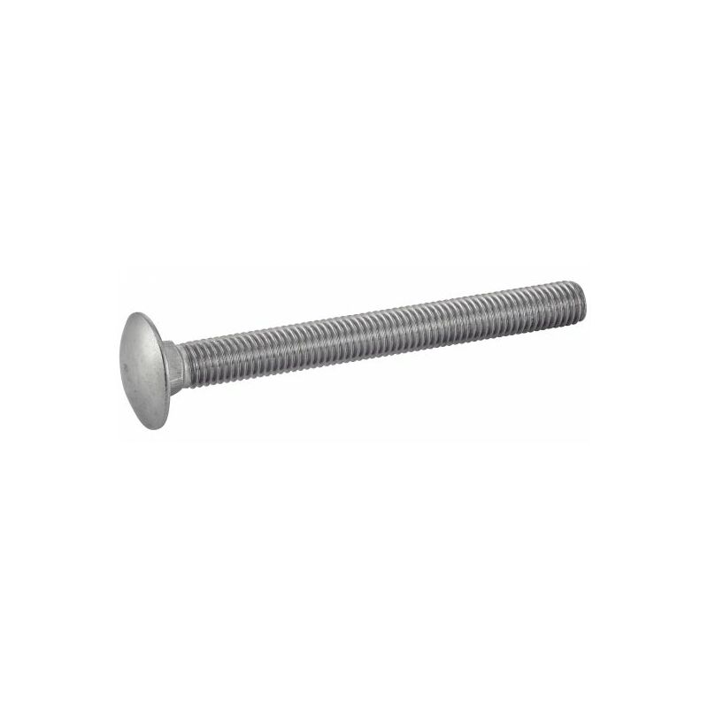 Acton - Vis à métaux tête ronde collet carré - Inox A4 10x180 mm - Boîte de 25
