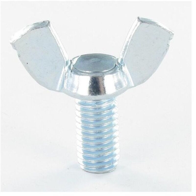 Vis Express - Vis Oreilles M6X50 Forme amEricaine Acier zingué-100 pièces