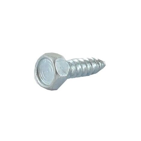 Vis Parker 4.8 X 16mm. Origine Stiga.