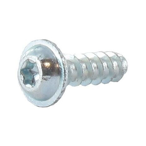 Vis parker à tête torx GGP - CASTELGARDEN 112728697/0