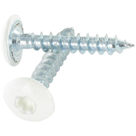 Vis Penture 4.5X35 Filetage total TORX T20 Acier zingué RAL9010 blanc pur-4000 pièces