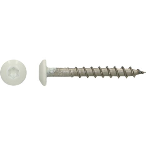 Vis Penture 4.5X35 TORX T20 Inox A4 RAL9010 blanc pur-200 pièces
