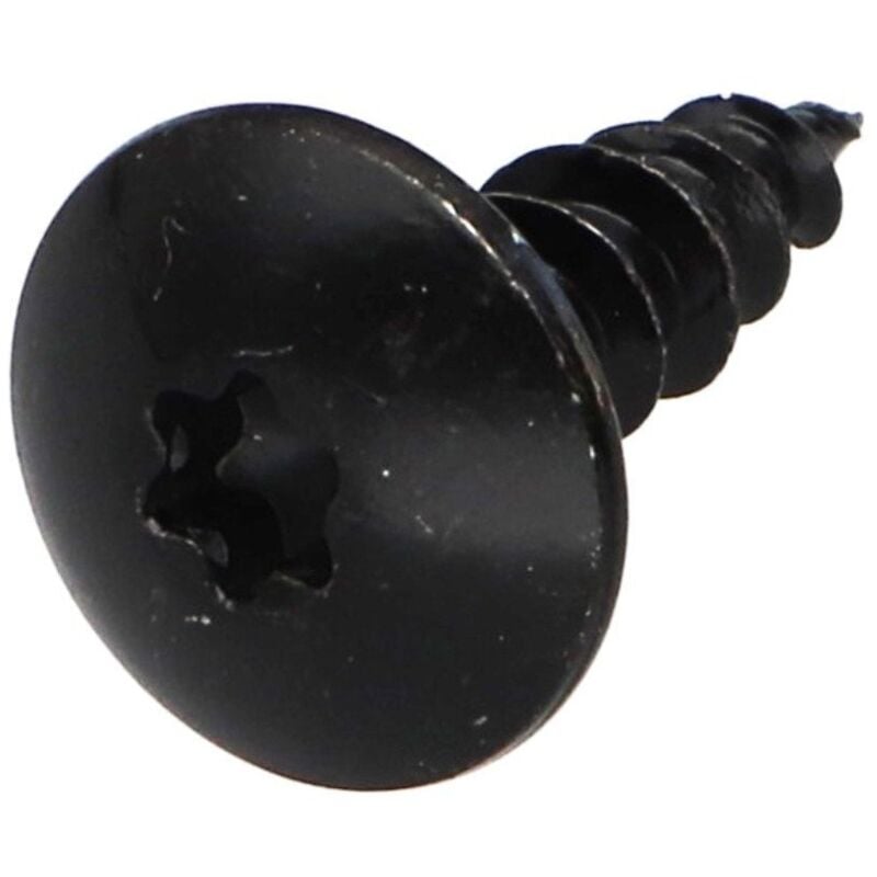 Vis Express - Vis Penture 5X16 Filetage total torx T20 Acier zingué noir-500 pièces