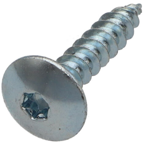 Vis Penture 6X25 Filetage total TORX T30 Acier zingué-100 pièces