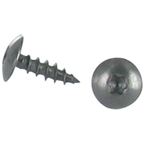 Vis Penture 6X30 TORX T30 Inox A2 Noir