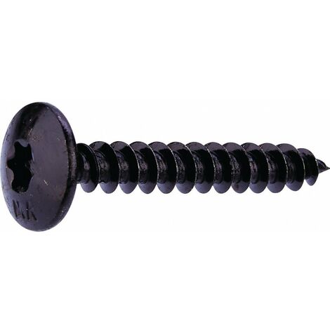 Vis Penture 6x40 Acier Noir Tx30 /10 Pièces - Fixpro