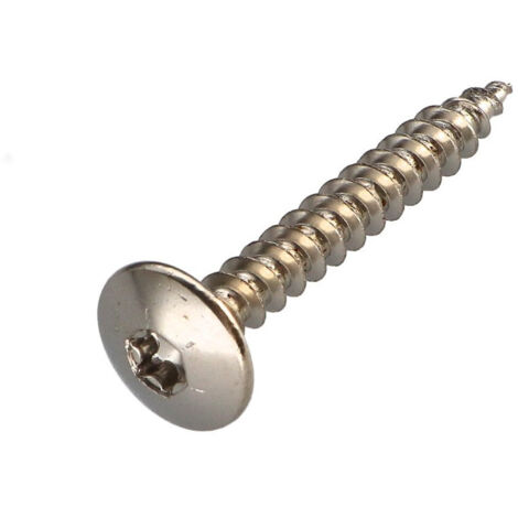 Vis Penture 6X60 Filetage partiel TORX T30 Acier nickelé-30 pièces