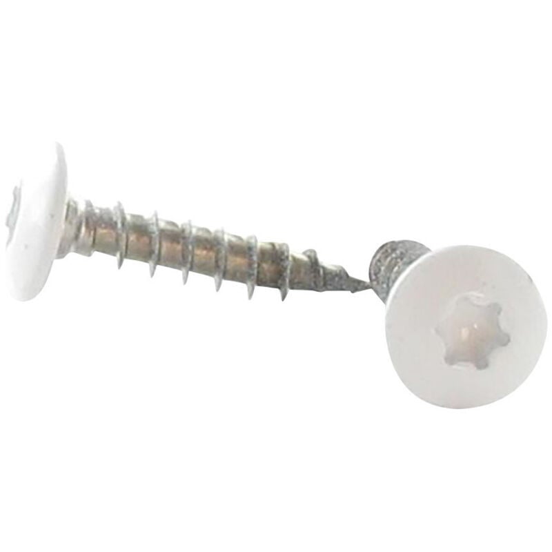 Vis Penture 7X45 torx T30 Inox A2 Laqué blanc RAL9016 blanc signalisation-100 pièces
