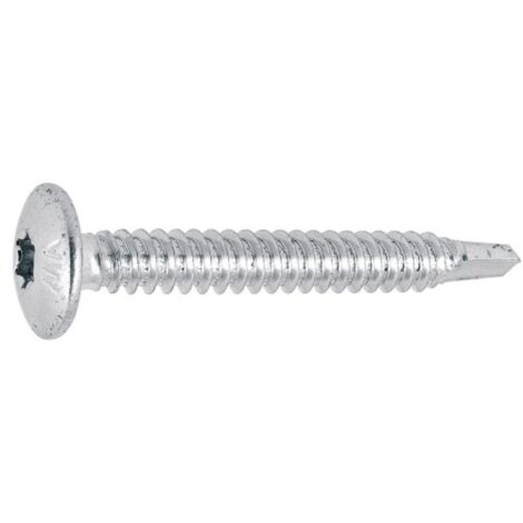 Vis penture autoperceuses tête ronde Torx acier zingué blanc entièrement filetées, Ø 4,8 mm x L 32 mm, boîte de 250 - VISWOOD