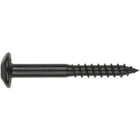 Vis Penture Inviolable 2 pièces TORX T40 6X60 Acier zingué noir-30 pièces