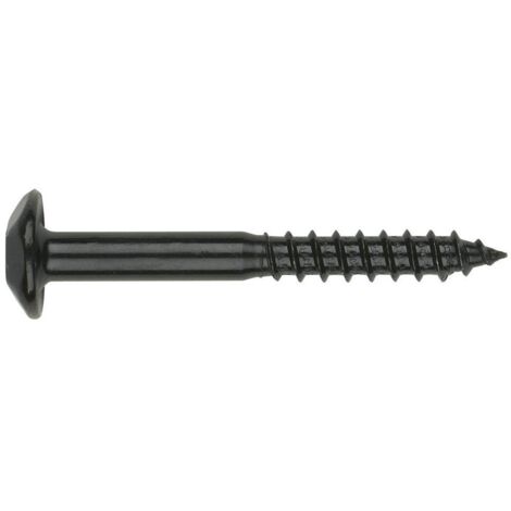Vis Penture Inviolable 2 pièces TORX T40 7X80 Acier zingué noir-1 pièce