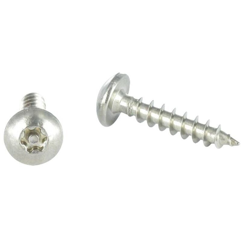 Vis Express - Vis Penture Inviolable torx T30 + Téton 6X30 Inox A2-100 pièces