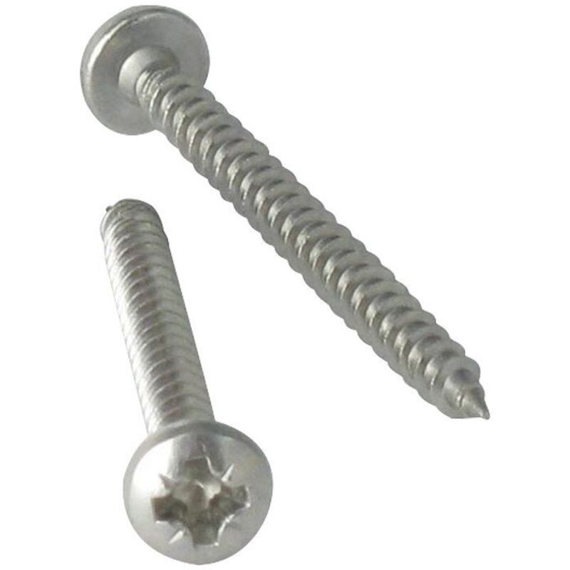 Vis Express - vba Vis bois agglo Inox A2 Tête ronde tr Pozi 6X100-100 pièces