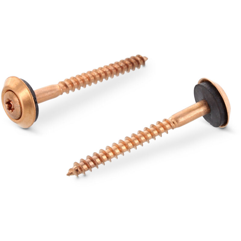 Vis pour faitage Tête fraisée bombée tfb torx T20 Inox A2 cuivre 4.5X55 Rondelle d'étanchéite avec joint-200 pièces