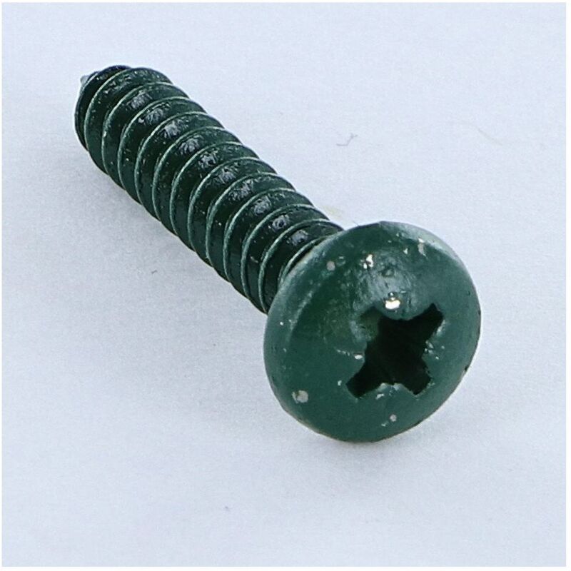 Vis Express - Vis tôle Inox A2 Tête cylindrique large tcl Pozi 4.8X25 Vert RAL6005 vert mousse-200 pièces