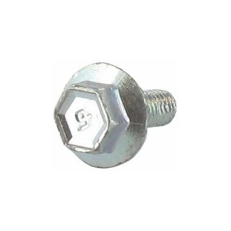 Vis pour grille de protection d'échappemet BRIGGS ET STRATTON 790745
