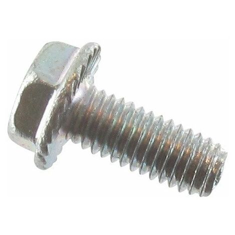 Vis pour grille d'échappement BRIGGS ET STRATTON 793500