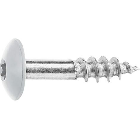 Vis pour panneaux stratifiés A4, 5,5 x 25, RAL 7035 gris, UE : 100