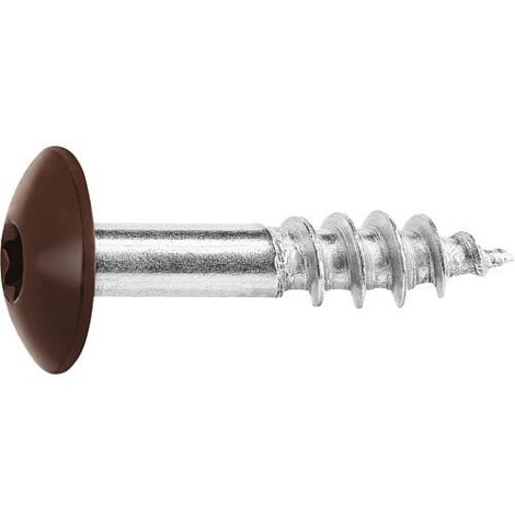 Vis pour panneaux stratifiés A4, 5,5 x 25, RAL 8014 brun sepia, UE : 100