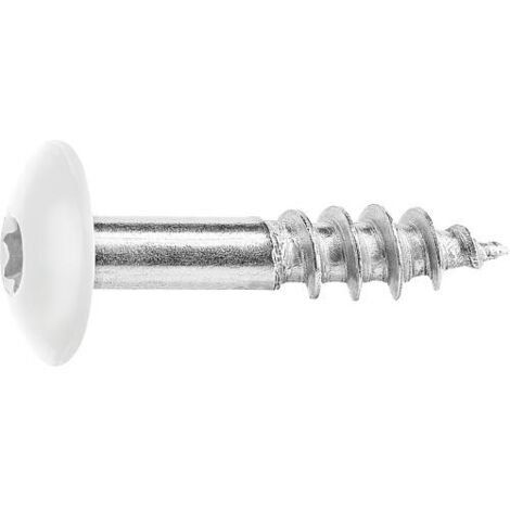 Vis pour panneaux stratifiés A4, 5,5 x 25, RAL 9010 blanc pur, UE : 100