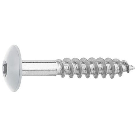 Vis pour panneaux stratifiés A4, 5,5 x 35, RAL 7035 gris, UE : 100