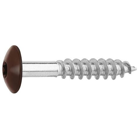 Vis pour panneaux stratifiés A4, 5,5 x 35, RAL 8014 brun sepia, UE : 100