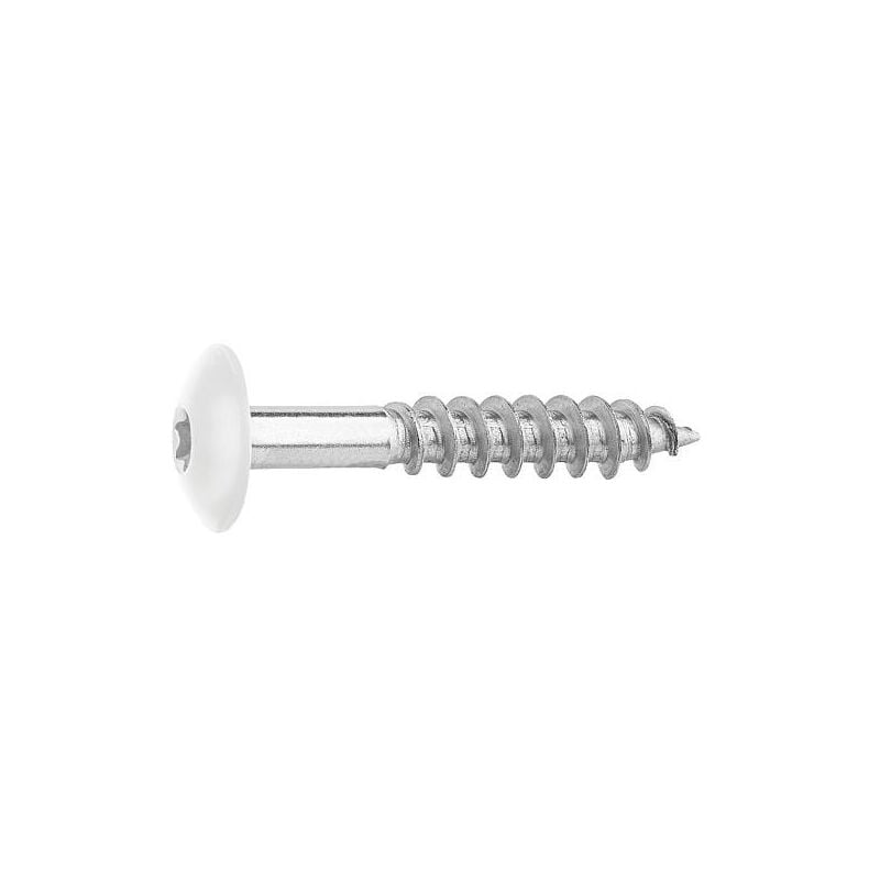 Vis pour panneaux stratifiés A4, 5,5 x 35, ral 9010 blanc pur, ue : 100