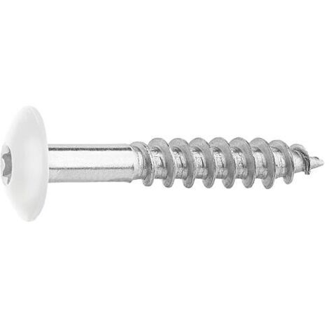 Vis pour panneaux stratifiés A4, 5,5 x 35, RAL 9010 blanc pur, UE : 100