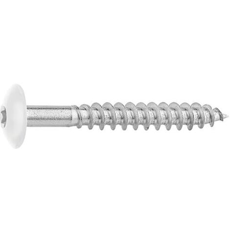 Vis pour panneaux stratifiés A4, 5,5 x 45, RAL 9010 blanc pur, UE : 100