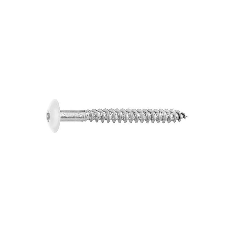 Vis pour panneaux stratifiés A4, 5,5 x 55, ral 9010 blanc pur, ue : 100