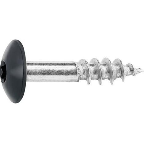 Vis pour panneaux stratifiés A4, 5,5x25 RAL7016 anthracite UE:100