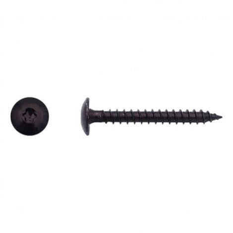 Vis pour penture Torx® Zingué noir - 7 x 50 mm - BIVI
