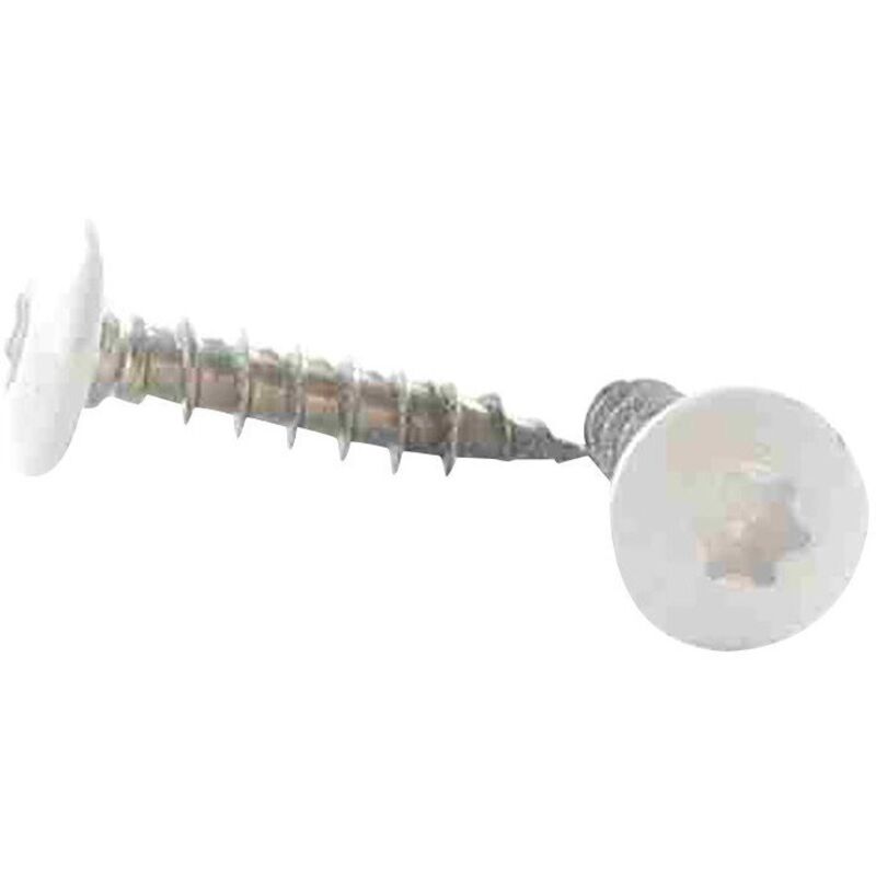 Vis Express - Vis Penture 6X40 torx T30 Inox A2 lqblc RAL9016 blanc signalisation-100 pièces